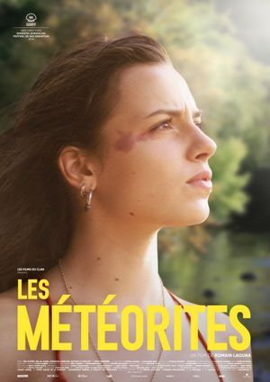 Meteorites's poster