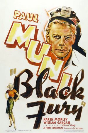 Black Fury's poster