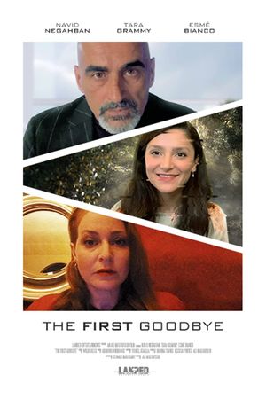 The First Goodbye's poster