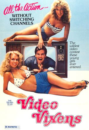 Video Vixens!'s poster