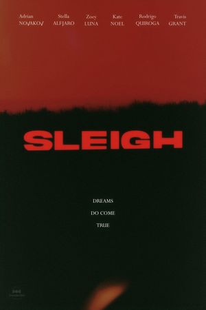 Sleigh's poster