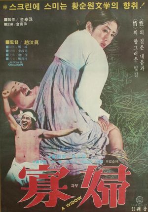 A Widow's poster