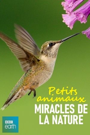 Petits animaux, miracles de la nature's poster