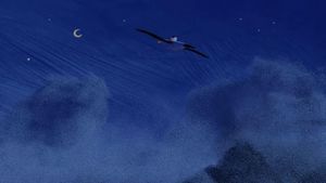 Earth To Albatross's poster