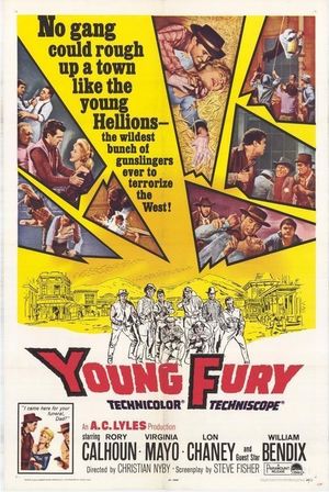 Young Fury's poster