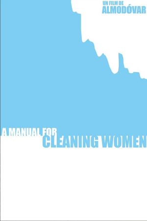 A Manual for Cleaning Women's poster