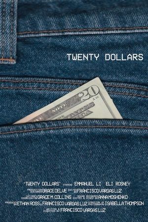 Twenty Dollars's poster