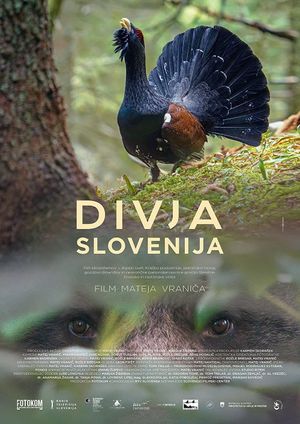 Wild Slovenia's poster