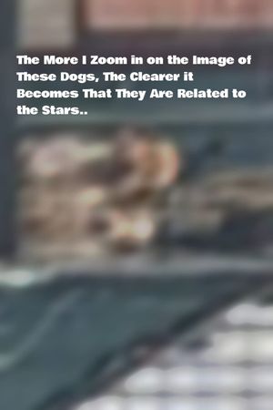 The More I Zoom in on the Image of These Dogs, The Clearer it Becomes That They Are Related to the Stars.'s poster