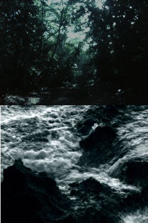 Ceiba's poster