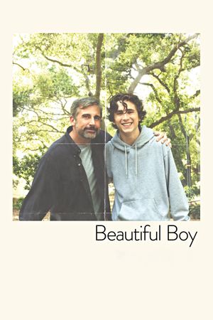 Beautiful Boy's poster