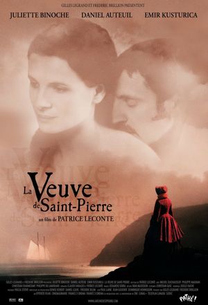 Widow of St. Pierre's poster