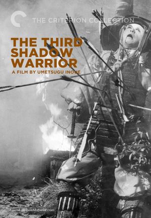 The Third Shadow Warrior's poster