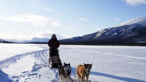 The Call of the Far North's poster