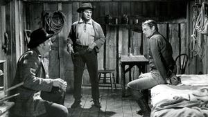 Saddle Tramp's poster