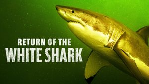 Return of the White Shark's poster