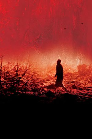 Calvaire's poster