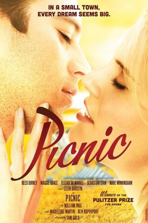 Picnic's poster