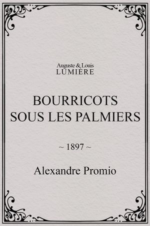 Bourricots sous les palmiers's poster