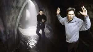 The Fugitive's poster