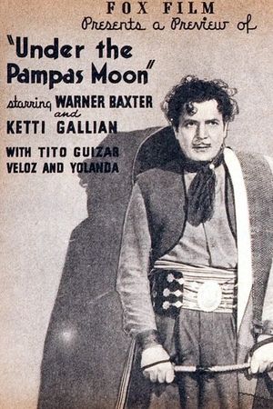 Under the Pampas Moon's poster