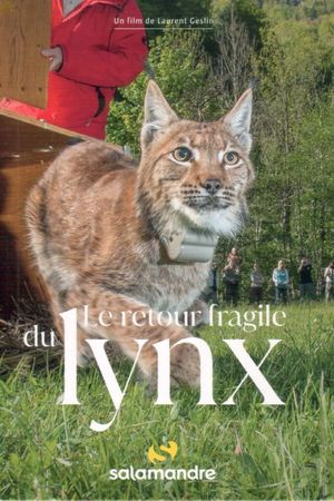 The Fragile Return Of The Lynx's poster