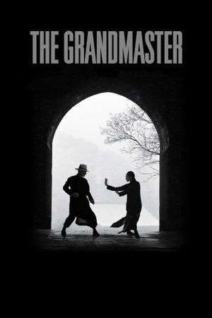 The Grandmaster's poster