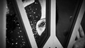 Cobweb's poster