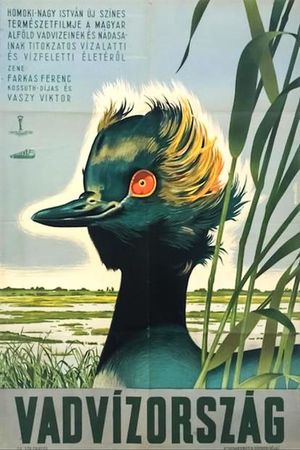 Vadvízország's poster