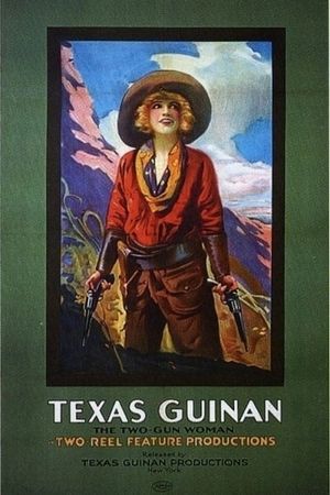 The Gun Woman's poster image