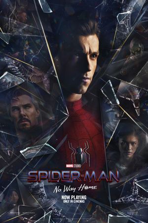 Spider-Man: No Way Home's poster