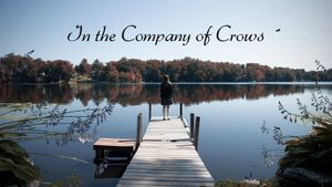 In the Company of Crows's poster