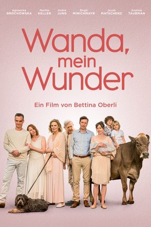 My Wonderful Wanda's poster