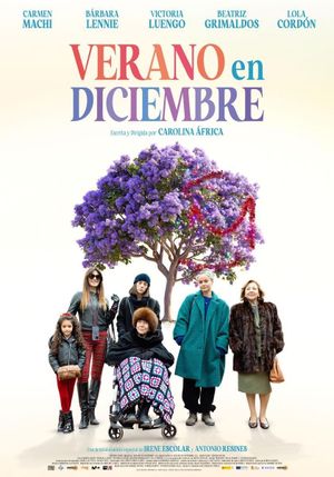 Verano en diciembre's poster