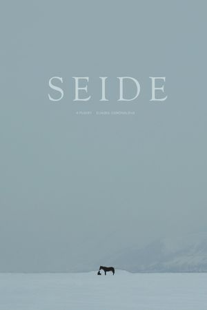 Seide's poster