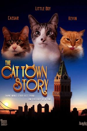 The Cat Town Story's poster