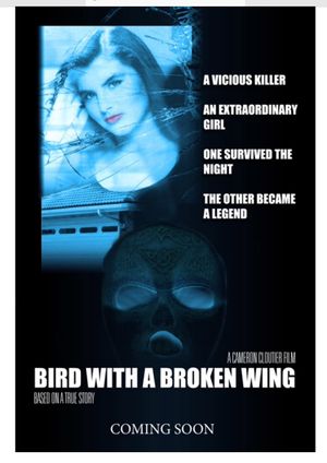 Bird with a broken wing's poster