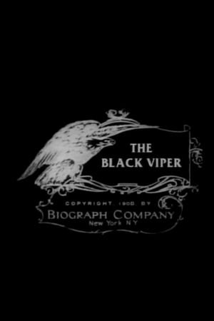 The Black Viper's poster