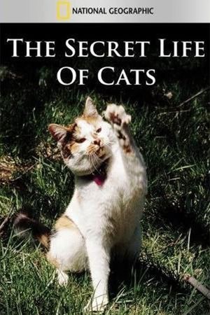 The Secret Life of Cats's poster