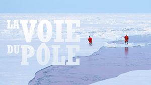 Sailing the North Pole's poster