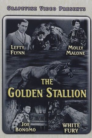 The Golden Stallion's poster