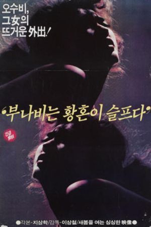 The Tiger Butterfly is Lonely at Dusk's poster