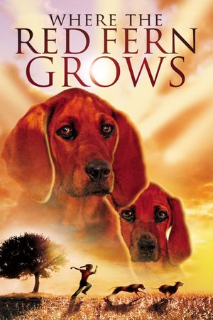 Where the Red Fern Grows's poster