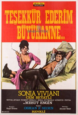 Tesekkür Ederim Büyükanne's poster