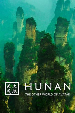 Hunan: The Other World of Avatar's poster image