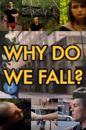 Why Do We Fall?'s poster