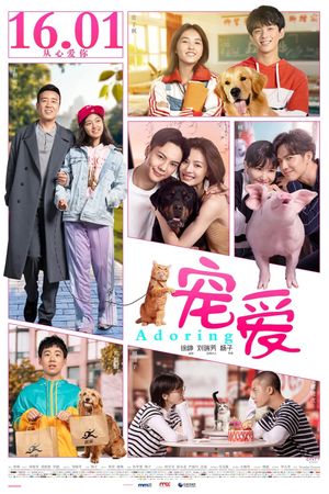 Adoring's poster
