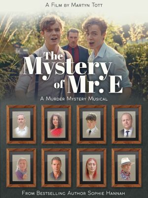 The Mystery of Mr E's poster