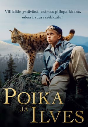 Tommy and the Wildcat's poster