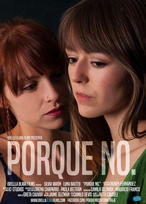 Porque no.'s poster